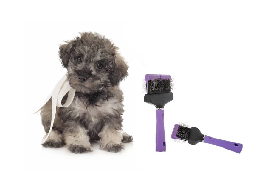 Best brush hot sale for schnoodle